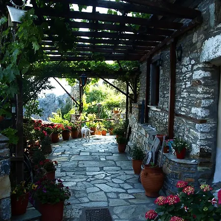 Πανσιόν Archontiko Nanou 4*